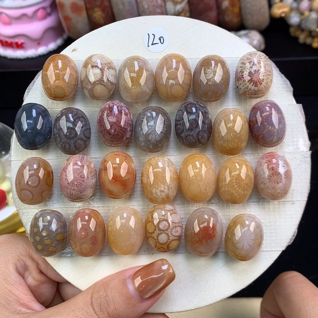 【闪购商品】颈饰未镶嵌硅化珊瑚（珊瑚玉）精美龟背120一个可挑（49）