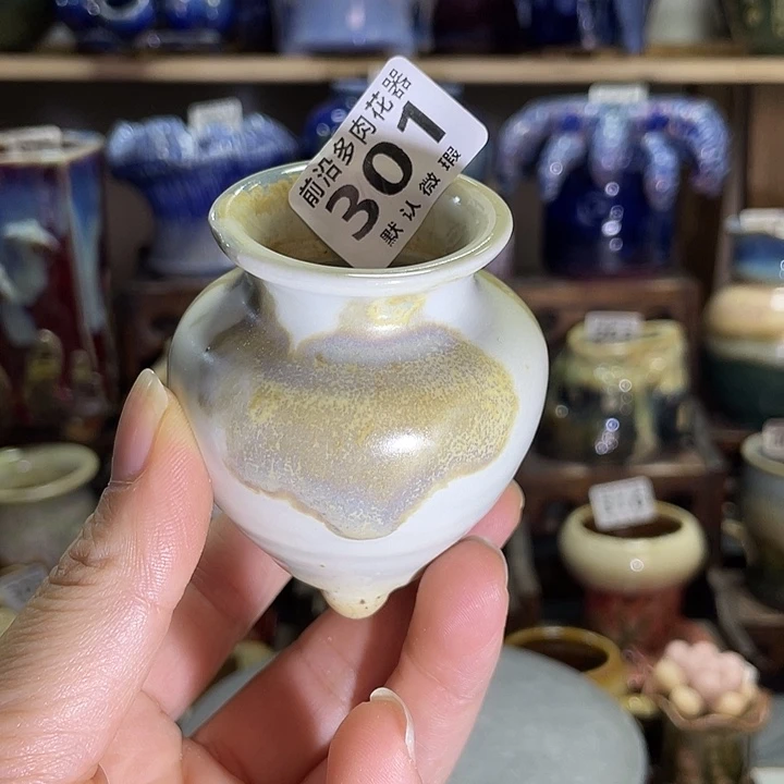 狼盆内口径3高度7