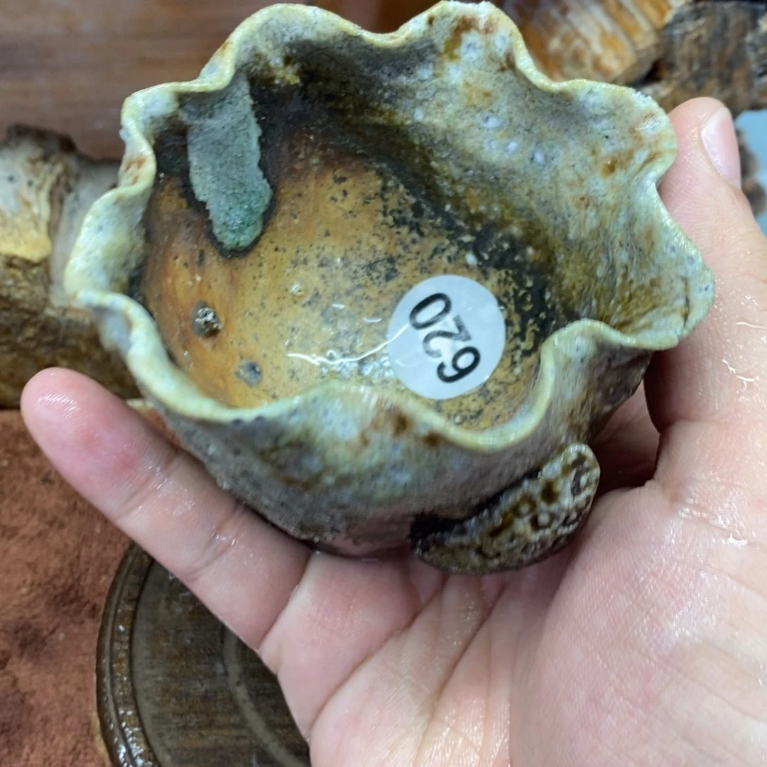 陶园柴烧，精品高货620