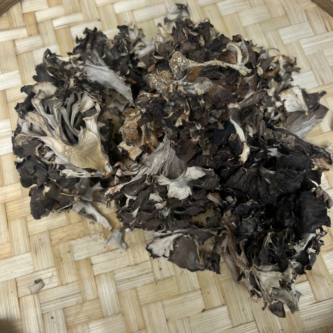 云南深山野生 精品干巴菌