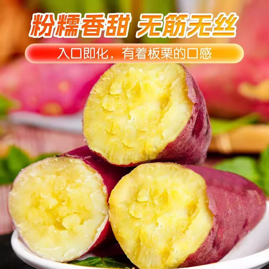 正宗沙土地板栗红薯新鲜现挖粉糯香甜蒸煮烤食粗粮烤地瓜番薯