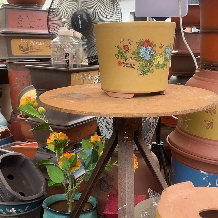 花开富贵中号一个花盆紫砂花盆