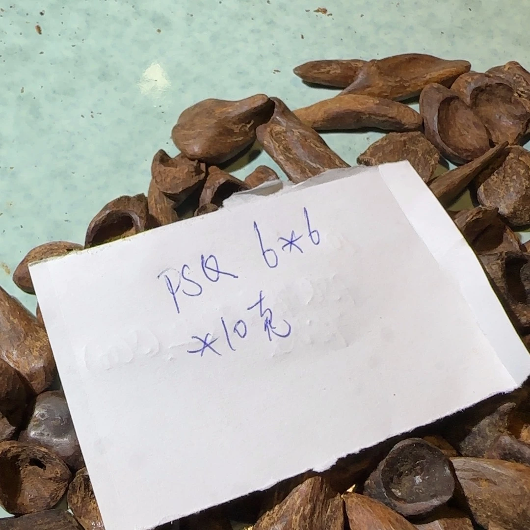 沉香沉香碎屑10克菩萨奇6*6sc