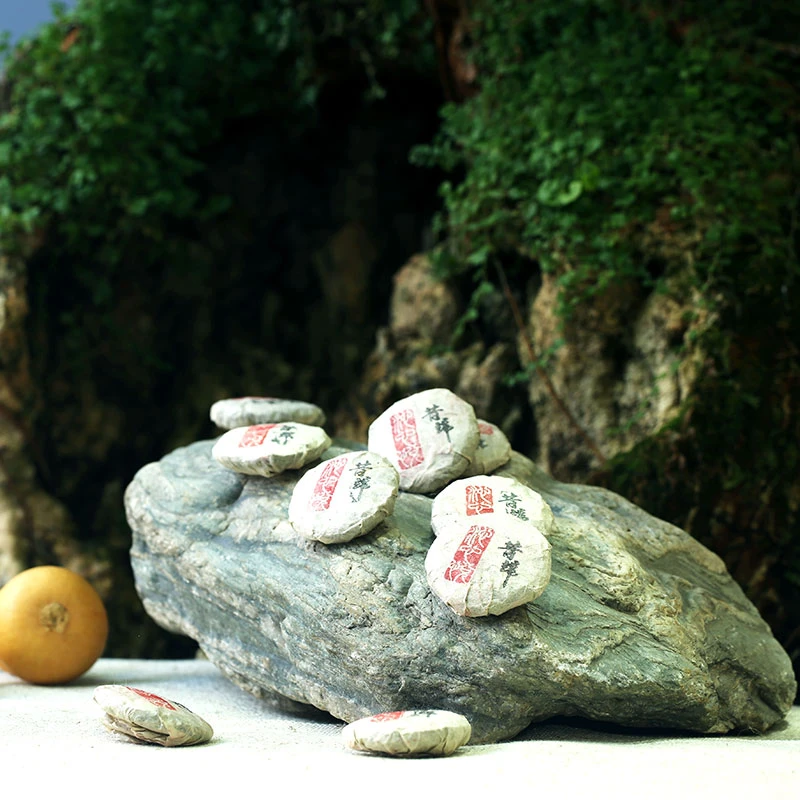 昔归单株2016年8克古树纯料头春头采