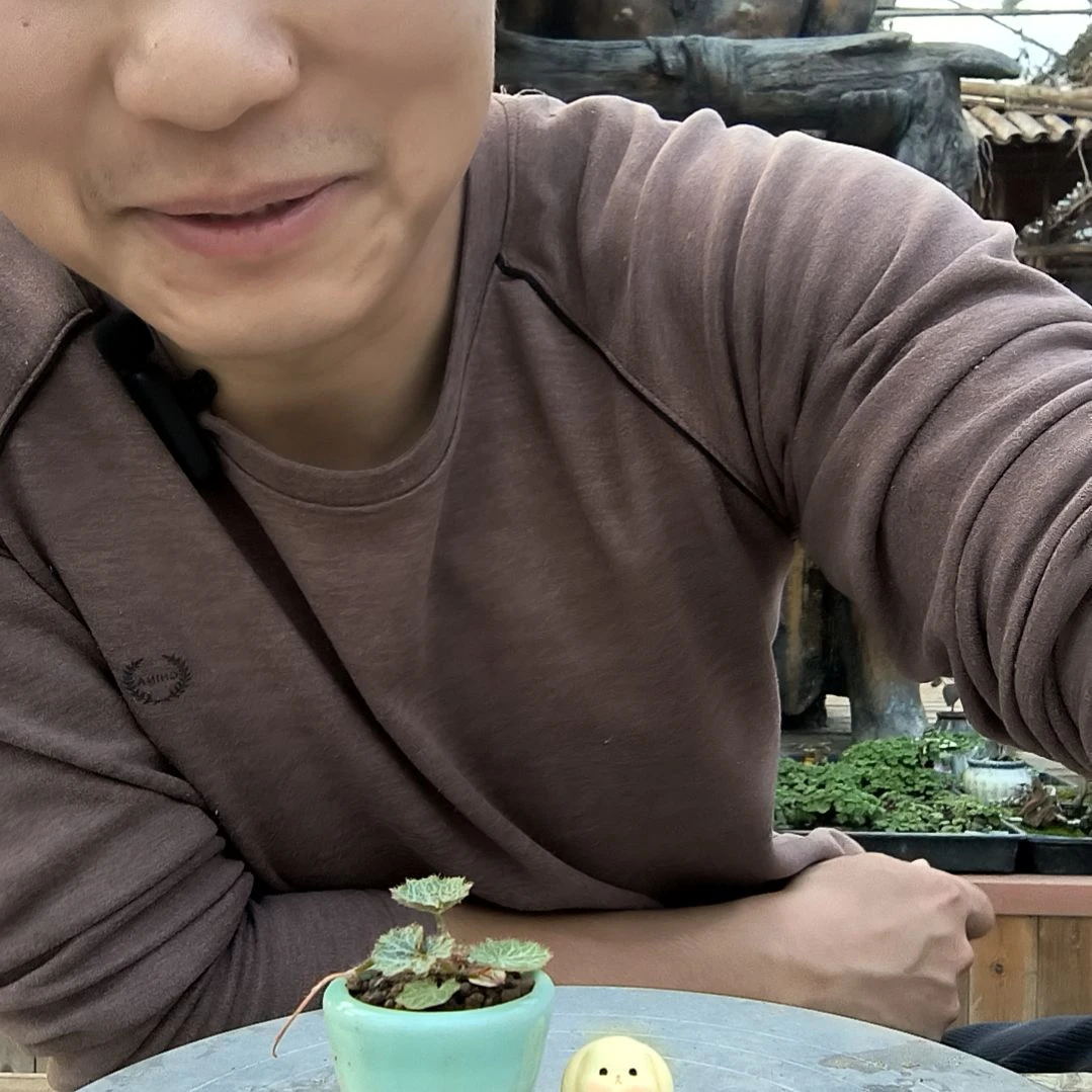 z*e小盆景小植物一物一拍148