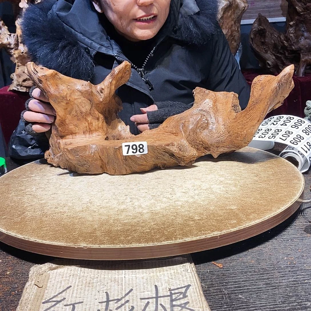 虹***愈798。株木随行根艺