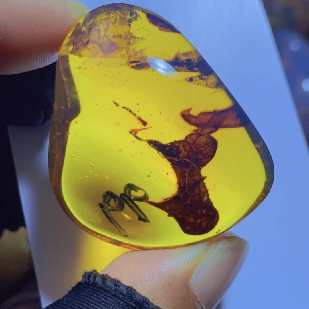 未镶嵌琥珀裸石。。。