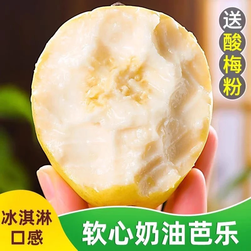 《小军严选》芭乐 奶油芭乐软糯低糖（微黄食用）福建省