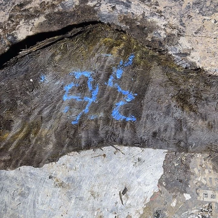 莫***王金丝楠金丝楠阴沉木