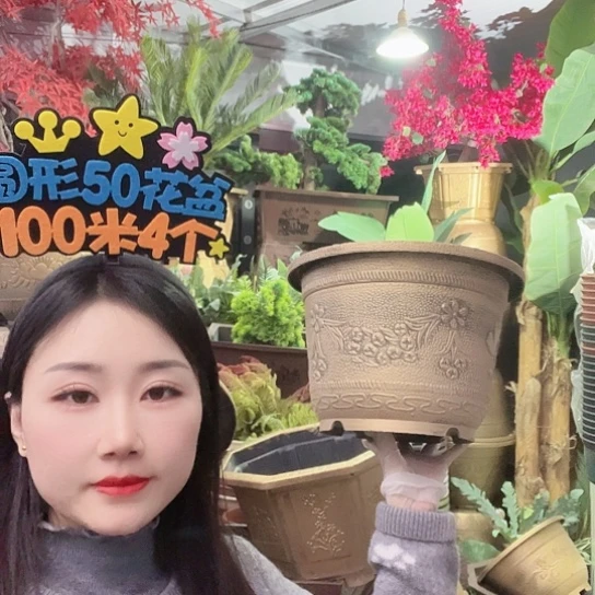 复合梅花30盆6个有孔