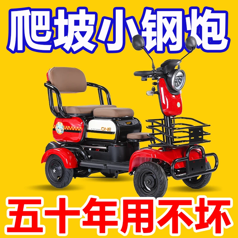 太极鸟电动车新款双人成人残疾人小型锂电池休闲代步车