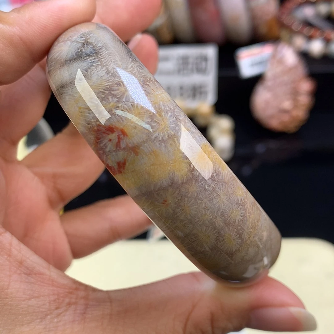 【闪购商品】颈饰未镶嵌硅化珊瑚（珊瑚玉）71号羽毛虫58圈