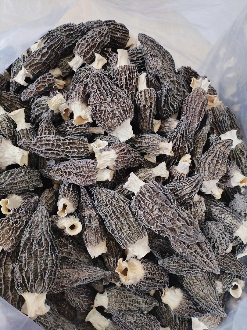 仙游高山（鲜）羊肚菌（干菇）7-10cm 半斤以上送紫米500克