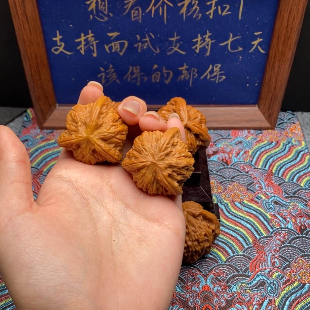 【闪购商品】雨*白狮