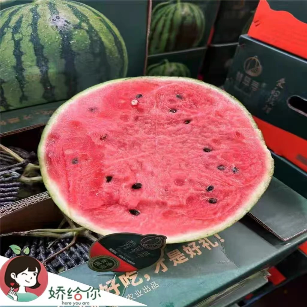 【顺丰包邮】翡翠蒂麒麟西瓜1粒 有籽脆甜多汁不沙瓤纯甜爆汁5-9斤