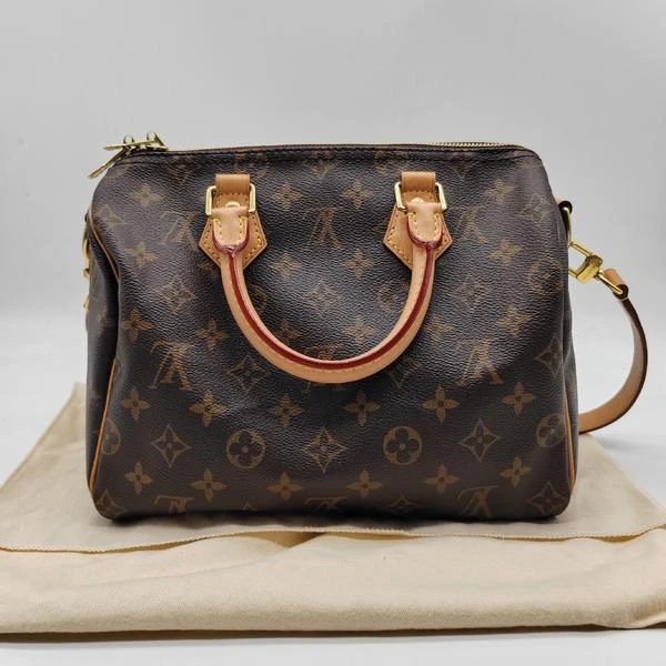 95新 LouisVuitton/路易威登 范大范LV Speedy25/6953 5847