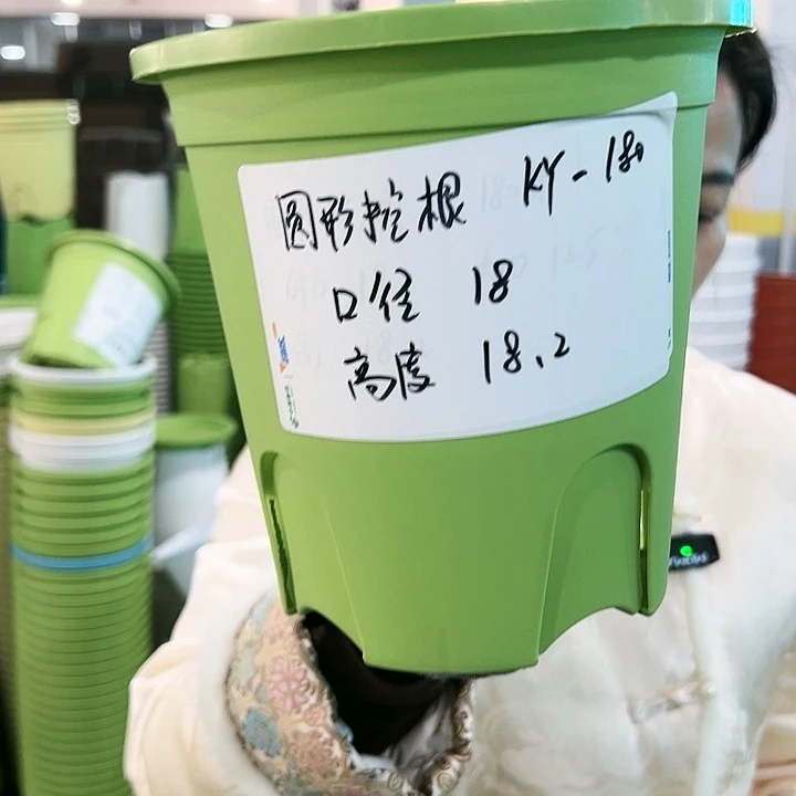 正品圆控根口18高18果绿无托8个