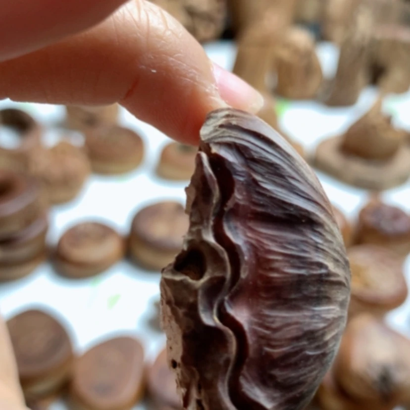 【闪购商品】木云*原汁原味老山檀香