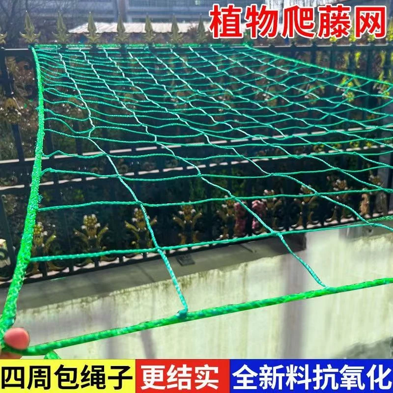 植物爬藤网百香果种植丝瓜月季吊瓜葡萄花卉苦瓜黄瓜菊花攀爬搭架