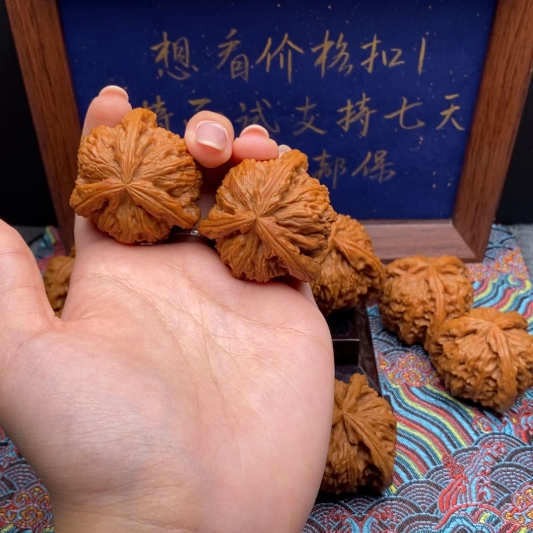 【闪购商品】楊白狮