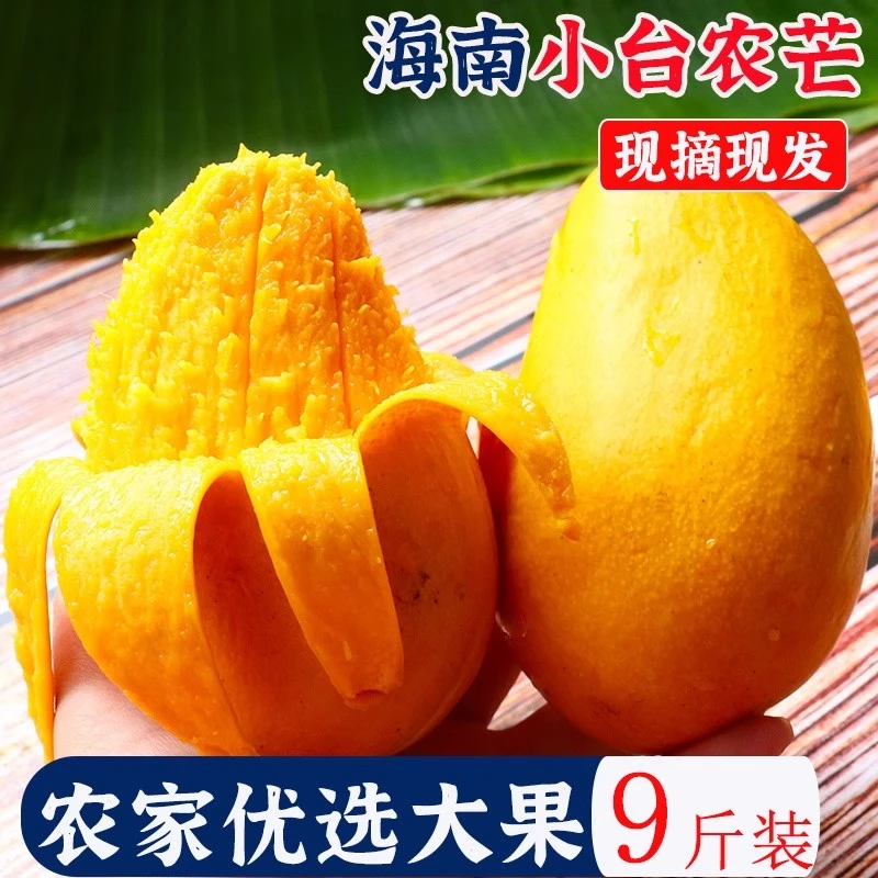 【顺丰包邮】小台农芒果新鲜小台芒当季海南热带水果现摘鸡蛋芒果