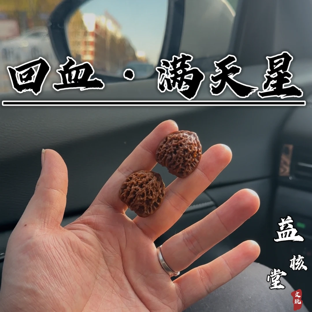 【回血·满天星】小尺寸手捻满天星文玩核桃回血核桃精品文玩核桃