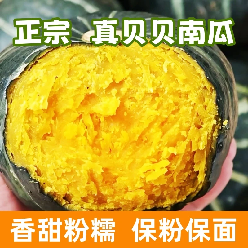 【书记推荐】山东潍坊正宗贝贝南瓜粉糯香板栗味5斤（极兔快递）