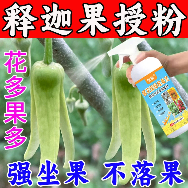 释迦果授粉座果精无需沾花座果灵果树授粉药保花保果授粉专用剂