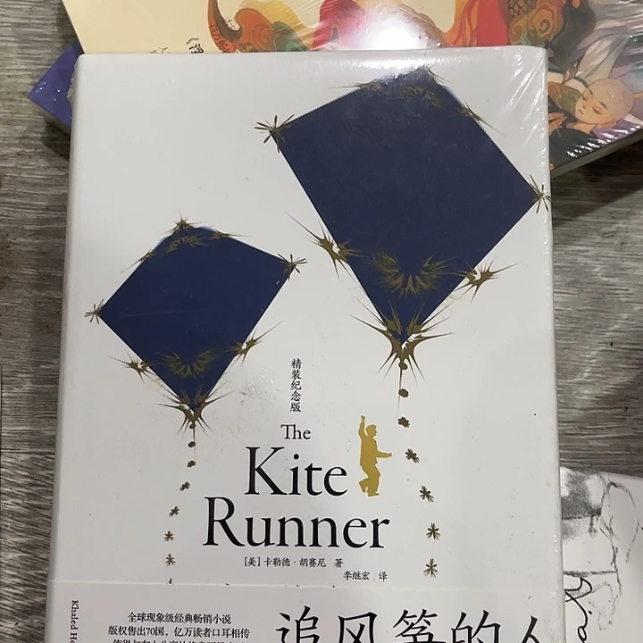 追风筝的人九米一个