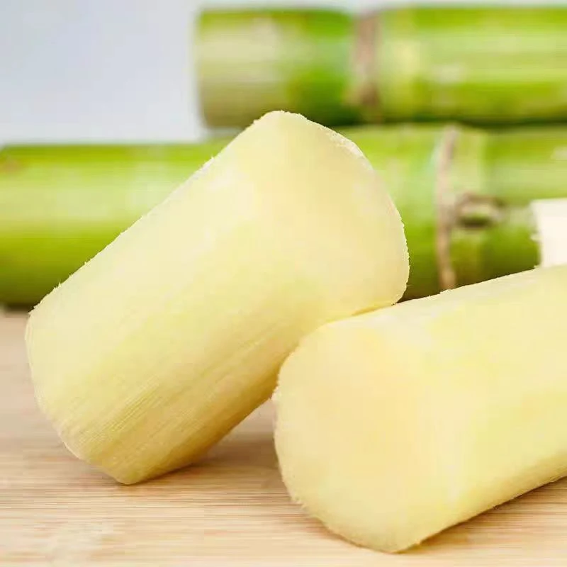 陶山果蔗甘蔗青皮甘蔗清甜多汁新鲜水果