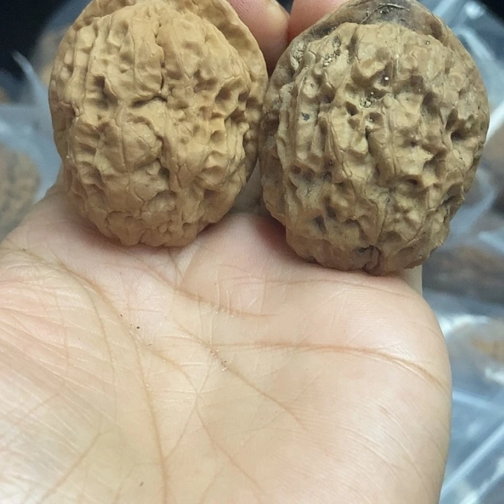 把件文玩核桃云南铁核桃基地77