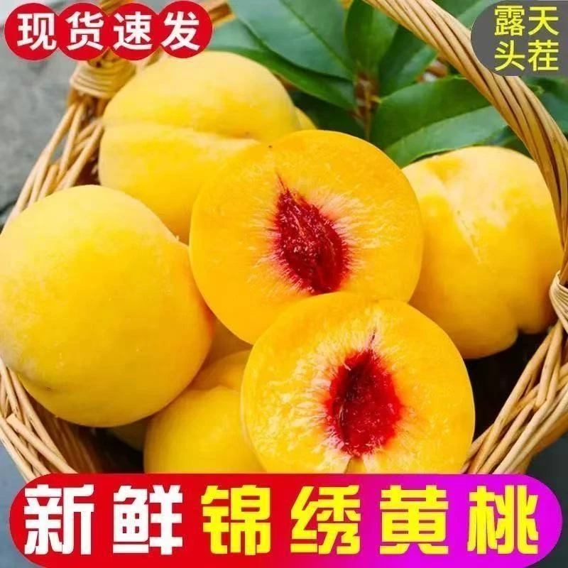 （5斤）现摘高山锦绣红心当季脆甜贵州最正宗黄桃购买夏季新鲜水果