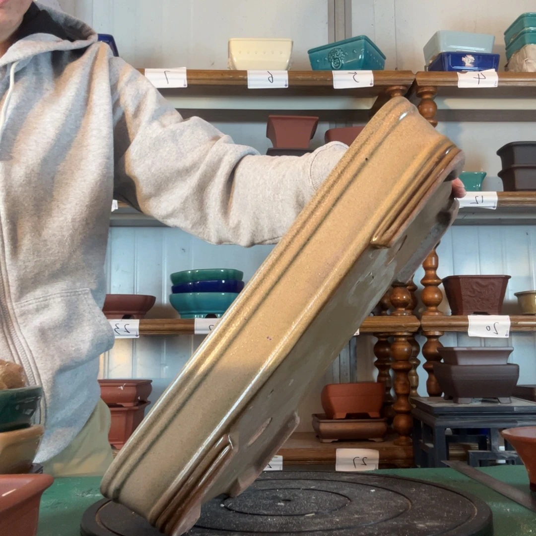 需不需出g分许过成功