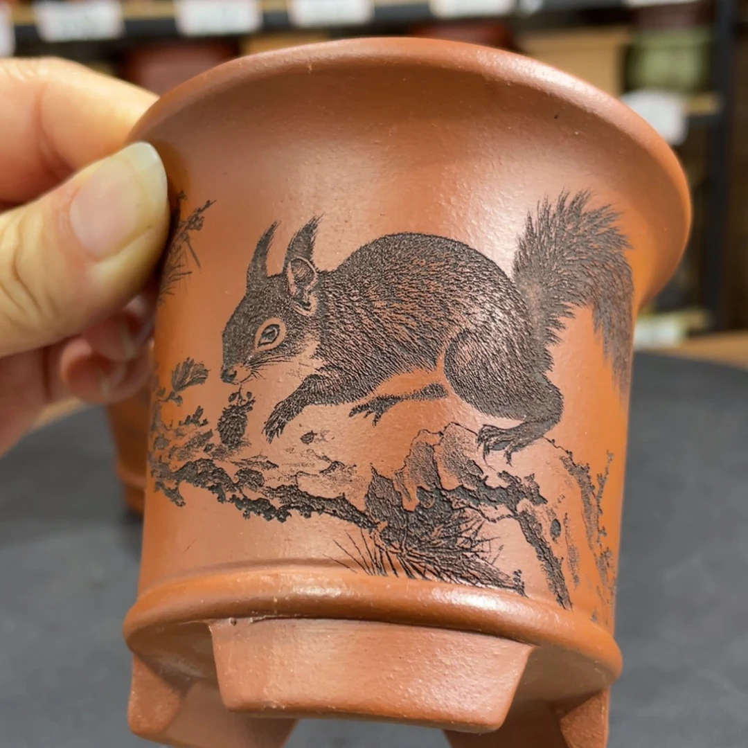 紫砂花盆紫砂花盆在这里