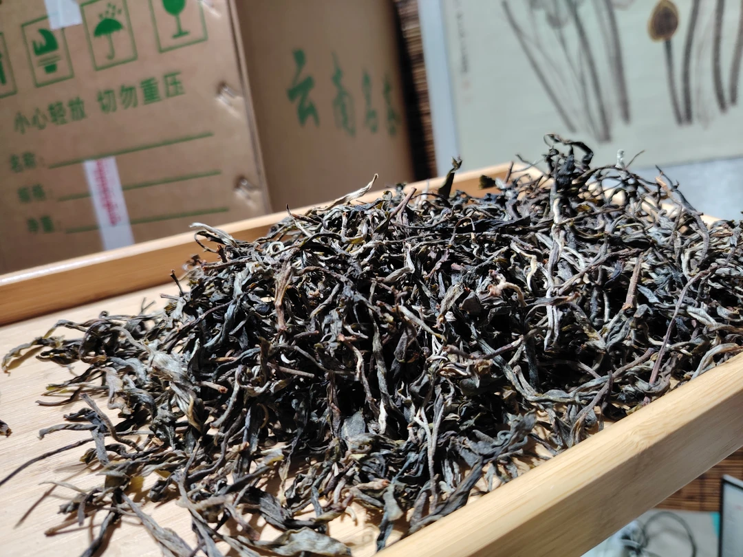 【大雪山】古树 2025年 头春头采 100克/份 普洱茶 生茶 晒青毛茶