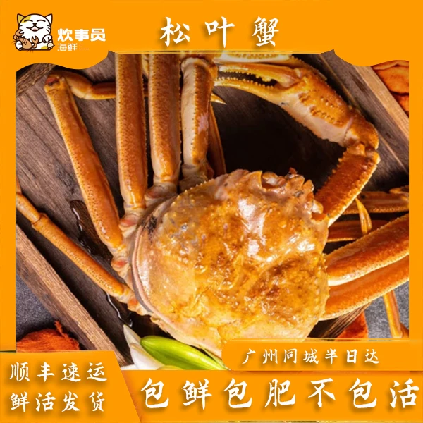 一只活发长腿松叶蟹1.6-1.8斤/只鲜活打氧发冷链打氧断腿2-3腿螃蟹蟹同城配送海鲜
