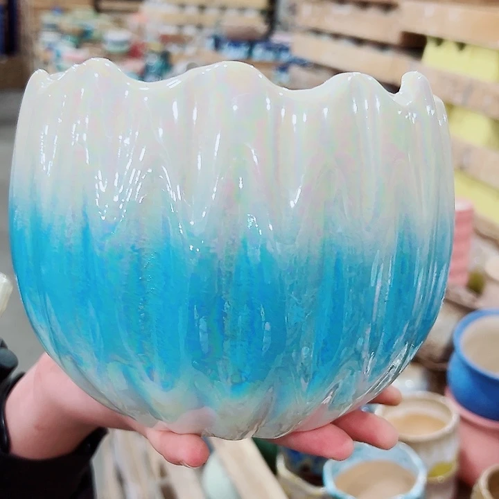 花盆有孔！凑满10米包由！