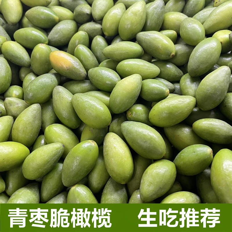 金灶燕娜青枣脆橄榄新鲜采摘生吃煲汤原生态青橄榄一斤装