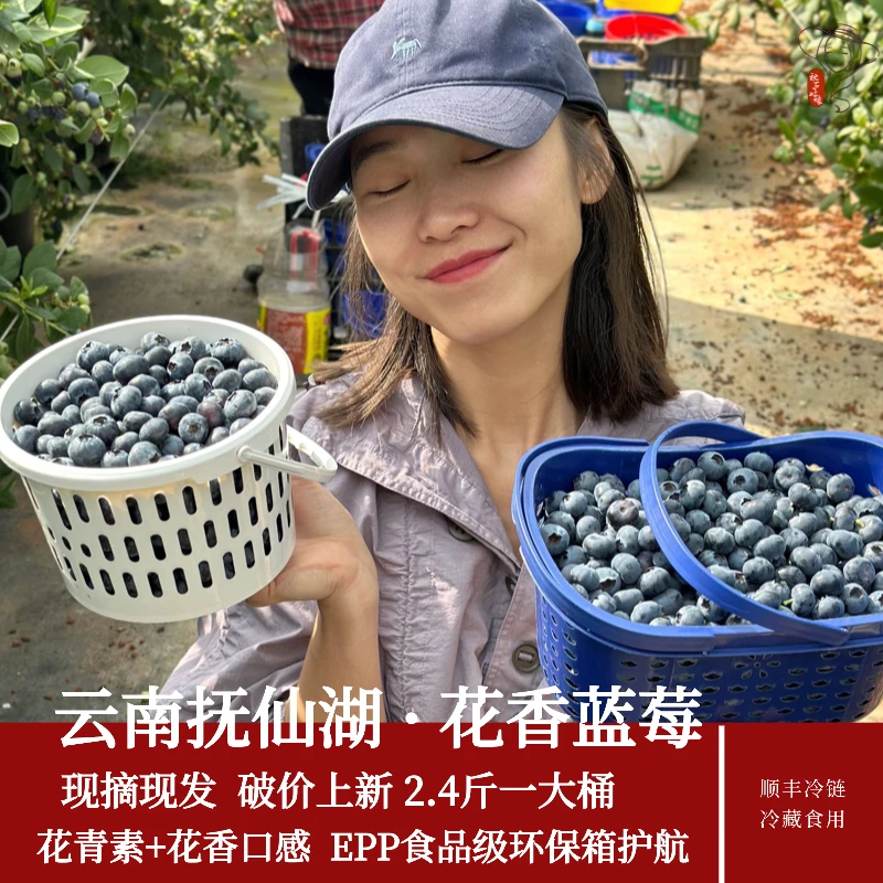 一桶25花香蓝莓2.4斤果园新鲜采摘顺丰空运