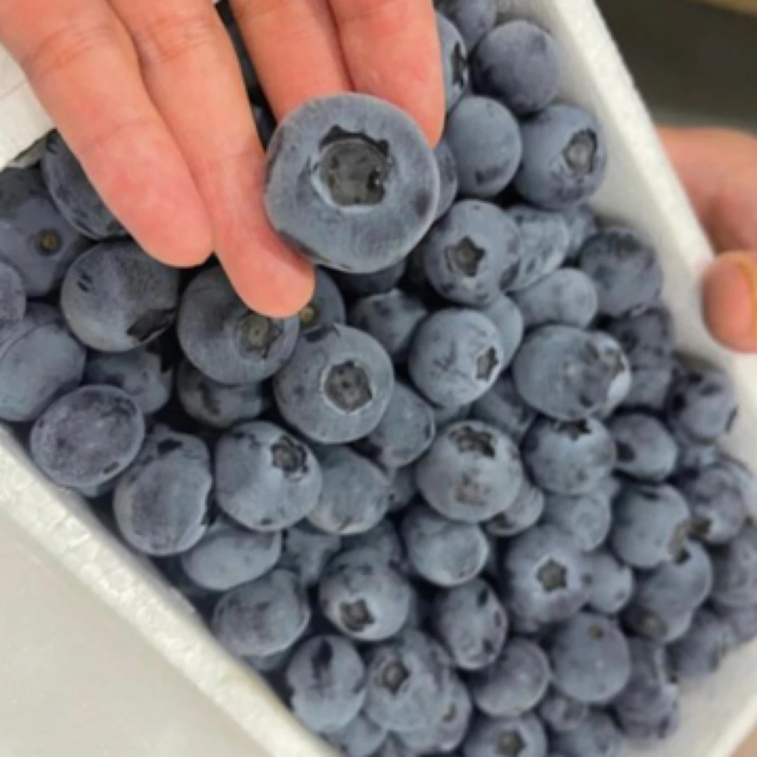 蓝莓1盒（大果20mm）约1斤（产地：云南）