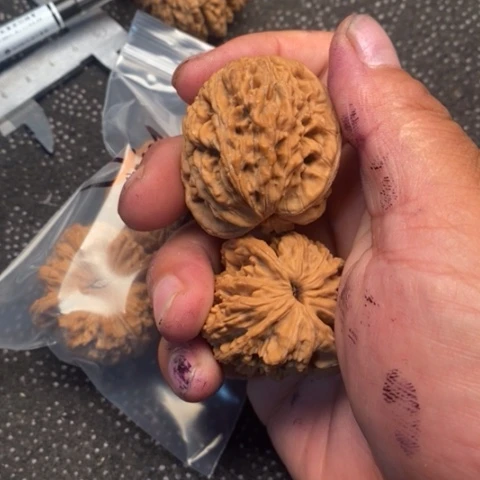 文玩核桃把件虎头3.3