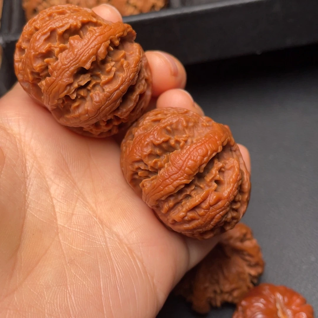 秦岭山脉野生核桃