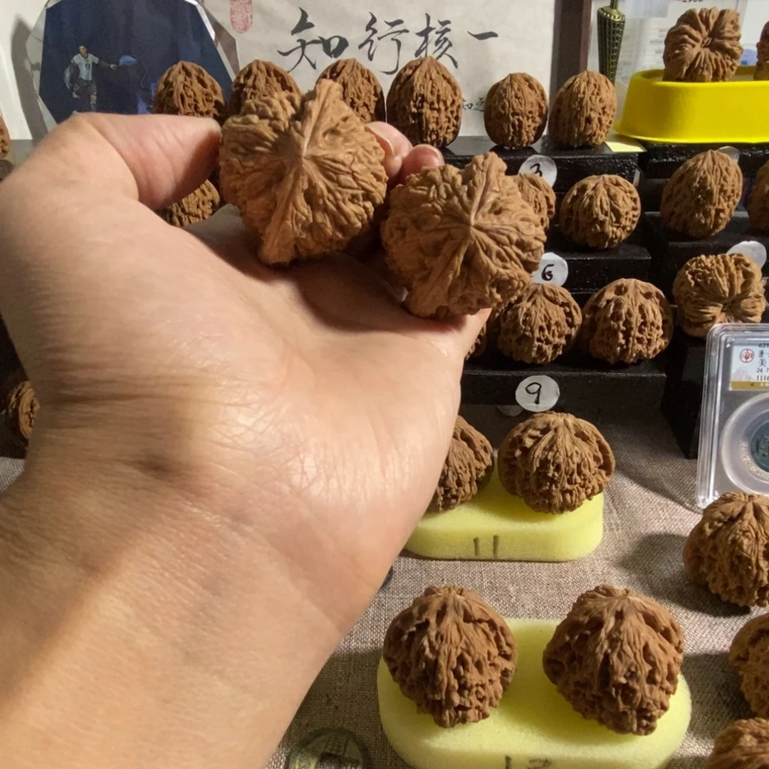 木质类溜肩中高南疆