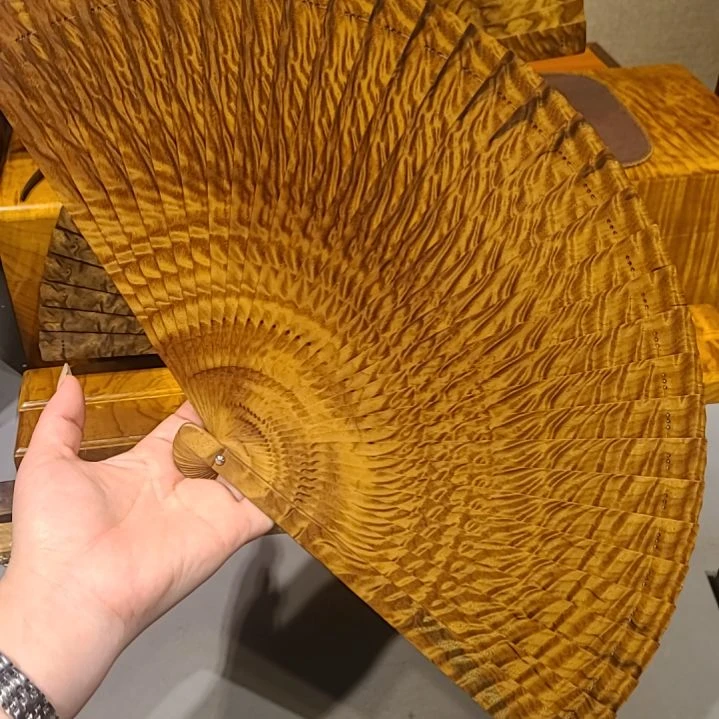 金丝楠24小叶桢楠金丝楠木苏扇