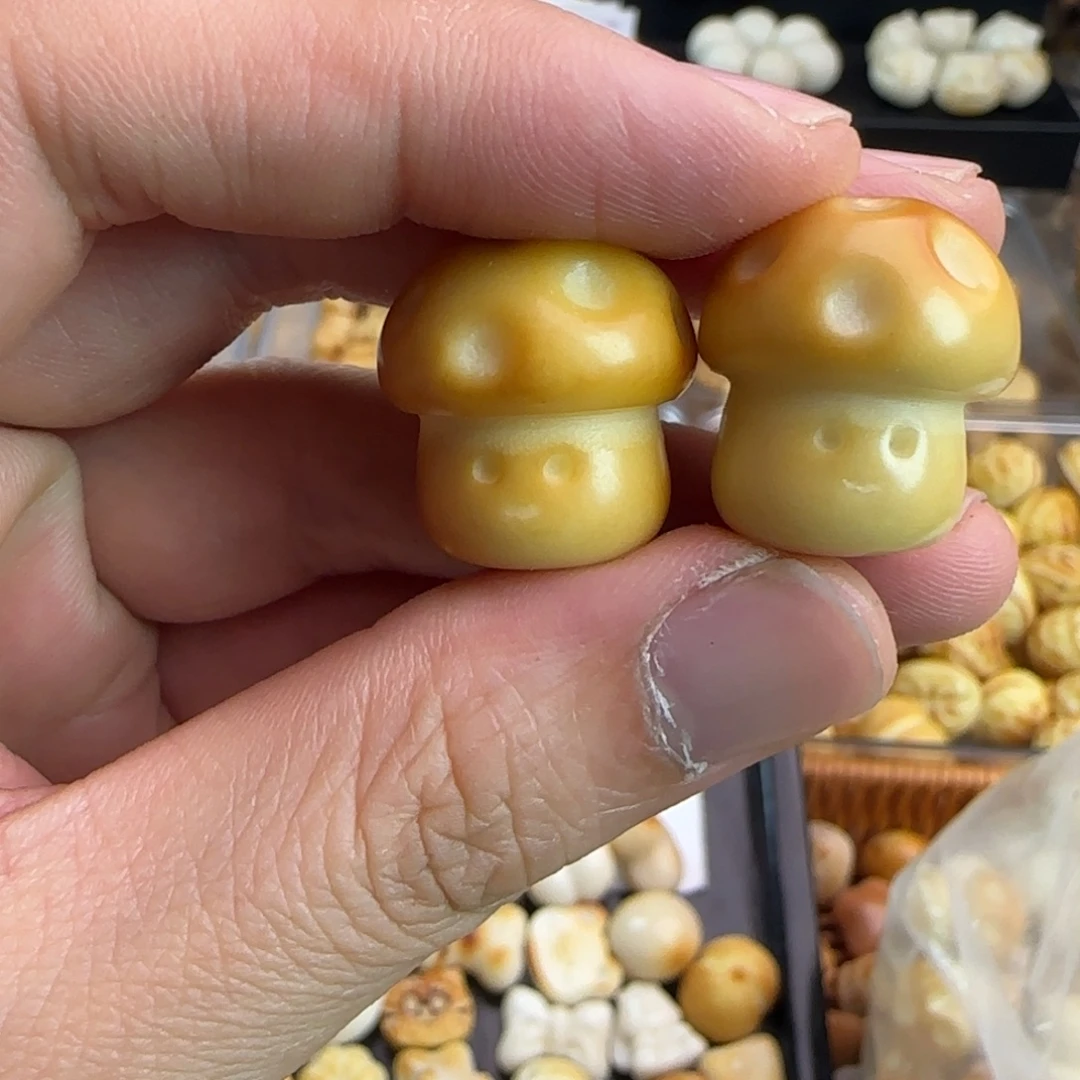 菩提根/象牙果手串微瑕炭烤蘑菇5颗（大小随机）