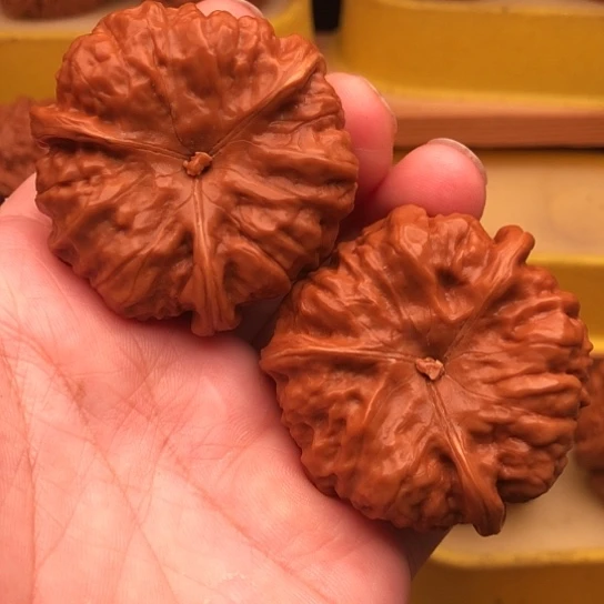菩***提文玩核桃把件核桃