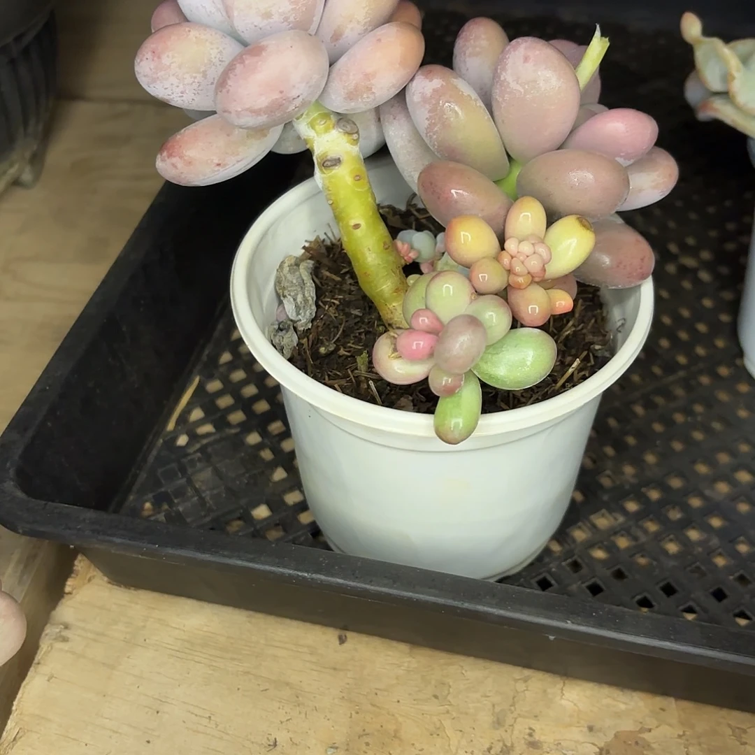 小***…啦啦啦啦啦啦啦啦啦啦