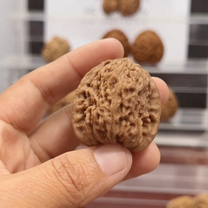 杂***杨涿鹿南京不文玩核桃
