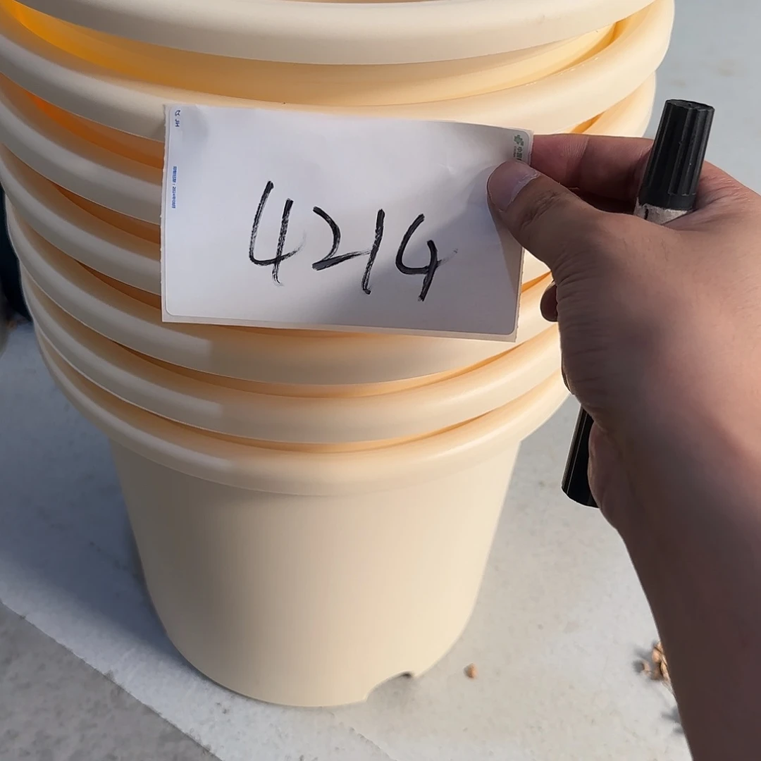 编号4214，6号无托