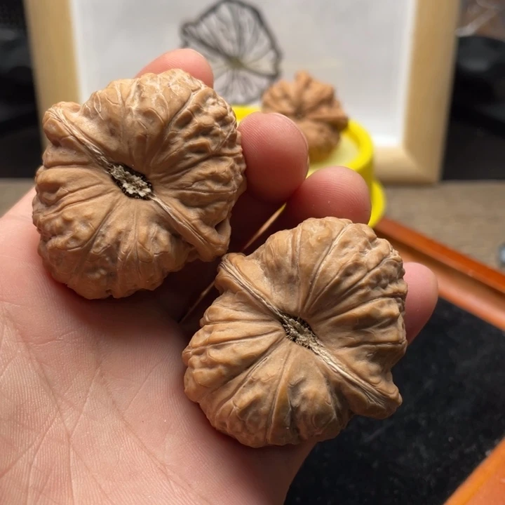 核桃南瓜墩文玩核桃